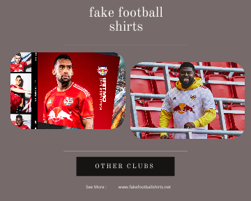 fake New York Red Bulls football shirts 23-24